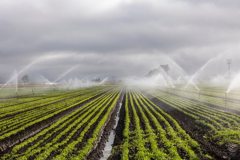 Irrigation Techniques